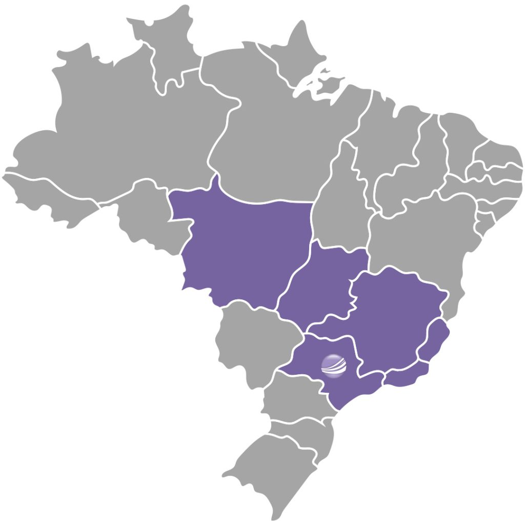 mapa do brasil, destacando os estados: Mato Grosso, Goiás, Minas Gerais, São Paulo, Espirito Santo e Rio de Janeiro. Com o logo Engelub no estado de São Paulo.